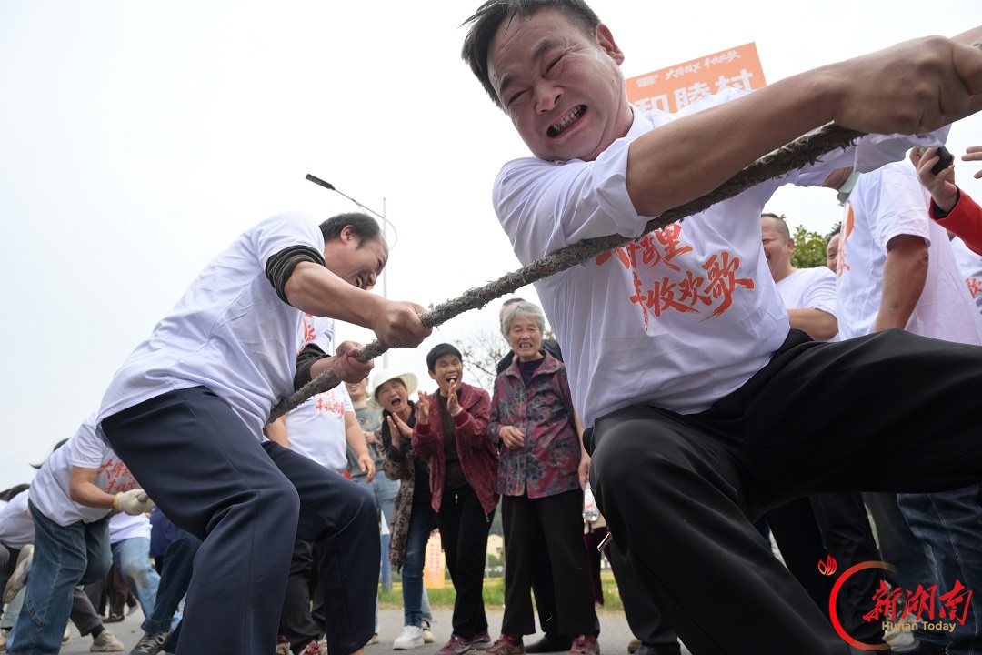 湘乡市龙洞镇：稻田竞技迎丰收