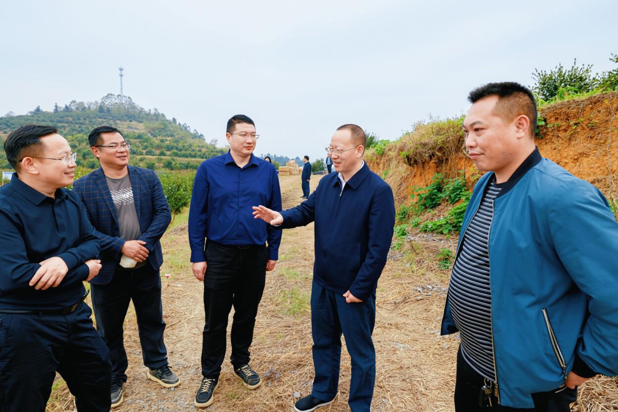 邵阳市林业局督察隆回林长制工作