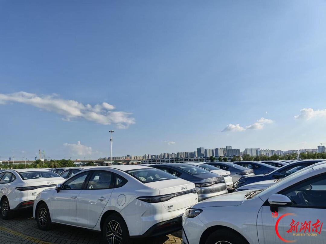 长沙新港单月滚装作业量创历史新高 “疆煤入湘”运量突破10万吨