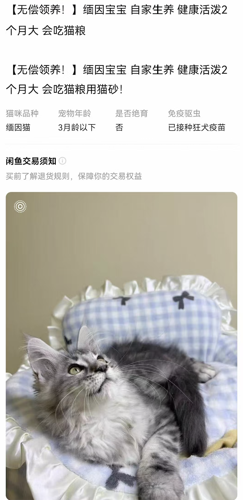 多家“领养馆”套路曝光:0元带猫狗回家,但要连续12或24个月每月向商家小程序充数百元,只能换猫粮猫砂等;很多人称被坑背上“宠物贷”