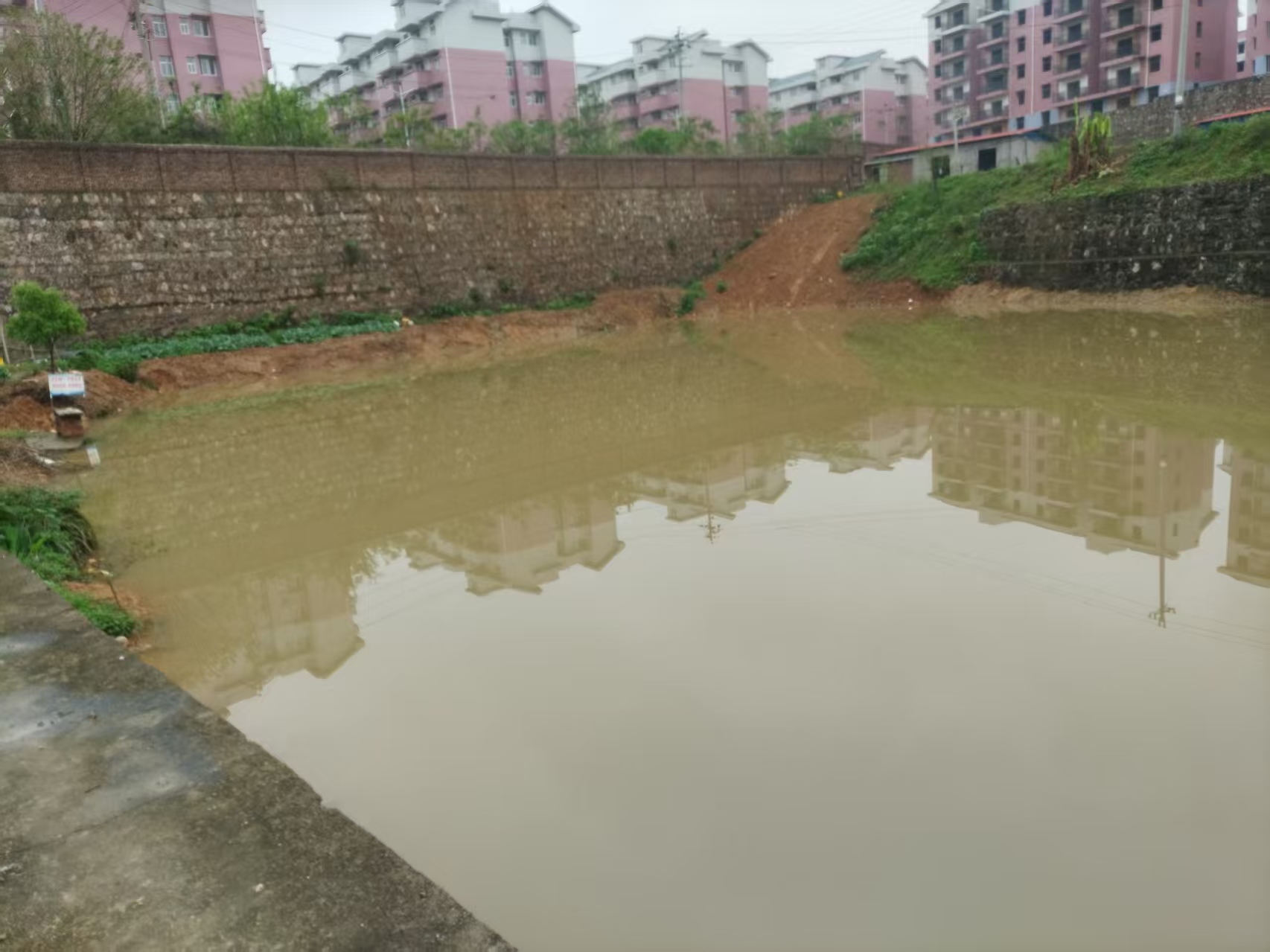 大祥区:监督润良田 清水解民忧