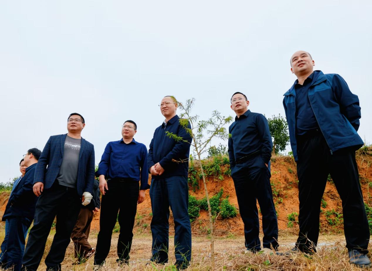 邵阳市林业局督察隆回林长制工作
