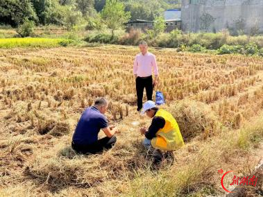 安仁县渡口乡:党群阵地聚合力 环境整治显担当
