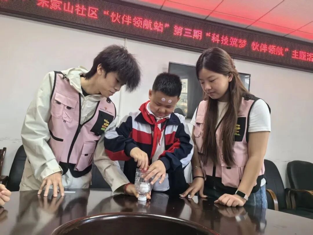 一颗豆子里,藏着禾家山少年的科学梦