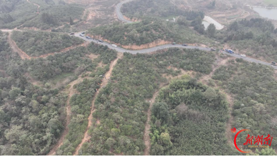 衡阳县:60万亩茶油香,蒸阳大地丰收忙