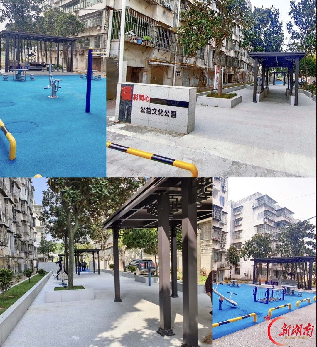 党建引领聚合力 福彩同心惠民生——新桥社区打造家门口的公益文化公园