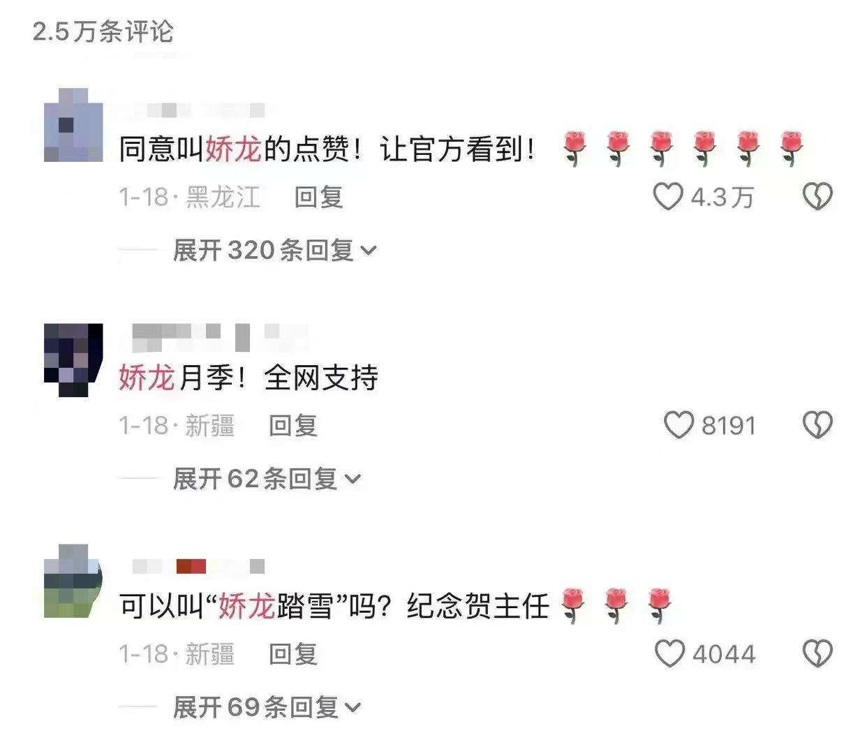 以英雄为名!“文秀”“娇龙”月季上市