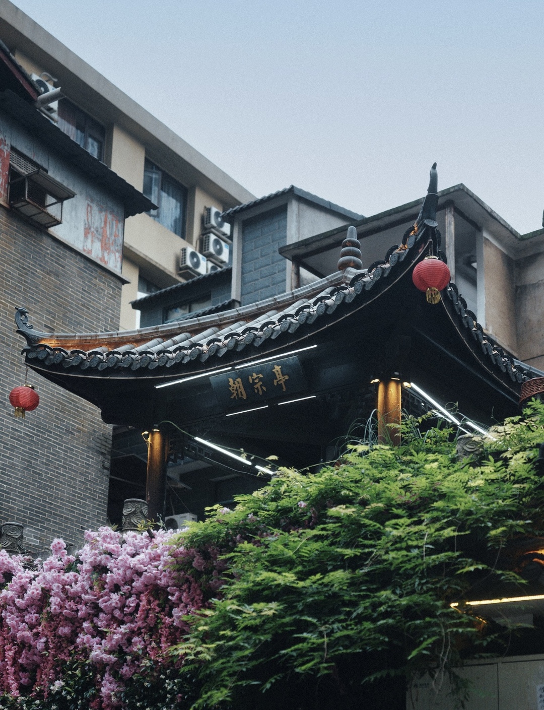 一场 Citywalk,读懂老长沙的新叙事
