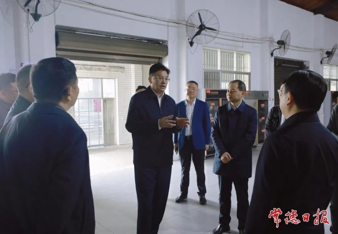 罗毅君在桃源县调研