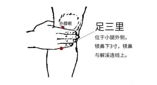 康复之路⑧|不吃药!简单按揉足三里,改善肿瘤患者多种不适