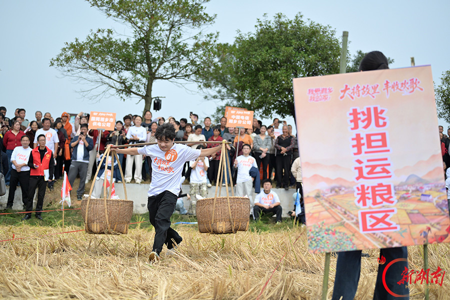 稻田农趣乐融融