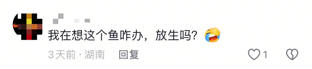 渔政没收的鱼,都去哪儿了?