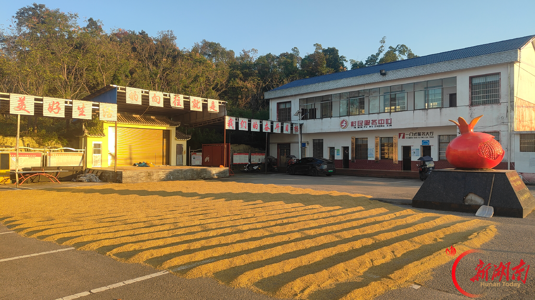 赫山区｜看电影、晒稻谷、量血压，衡龙桥镇党群服务中心一室多用百姓夸