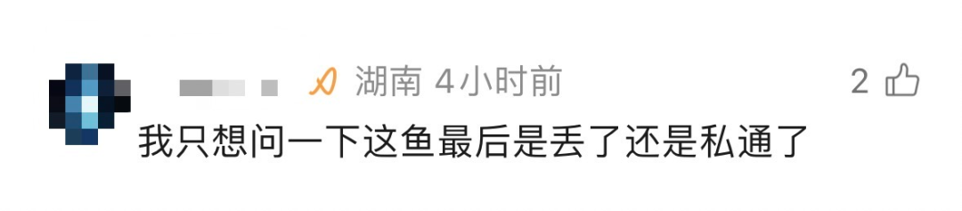 渔政没收的鱼,都去哪儿了?