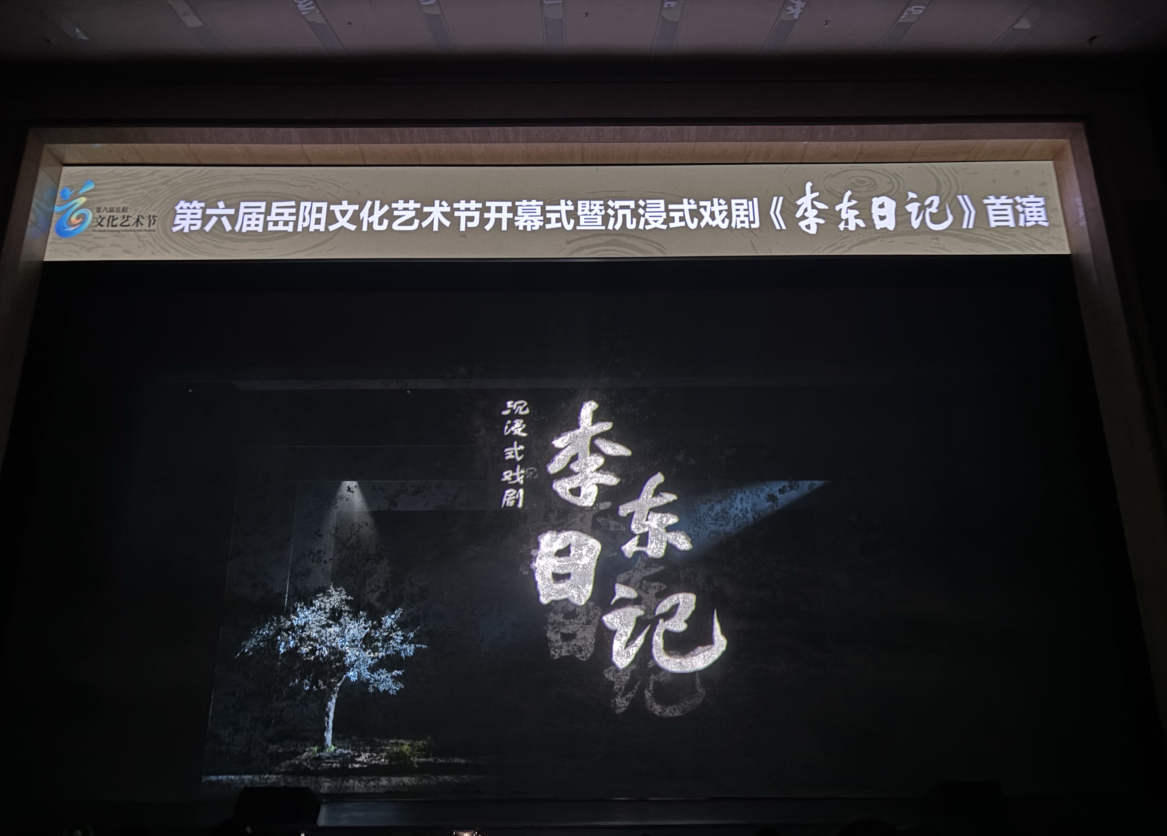 第六届岳阳文化艺术节开幕 《李东日记》首演感动全场