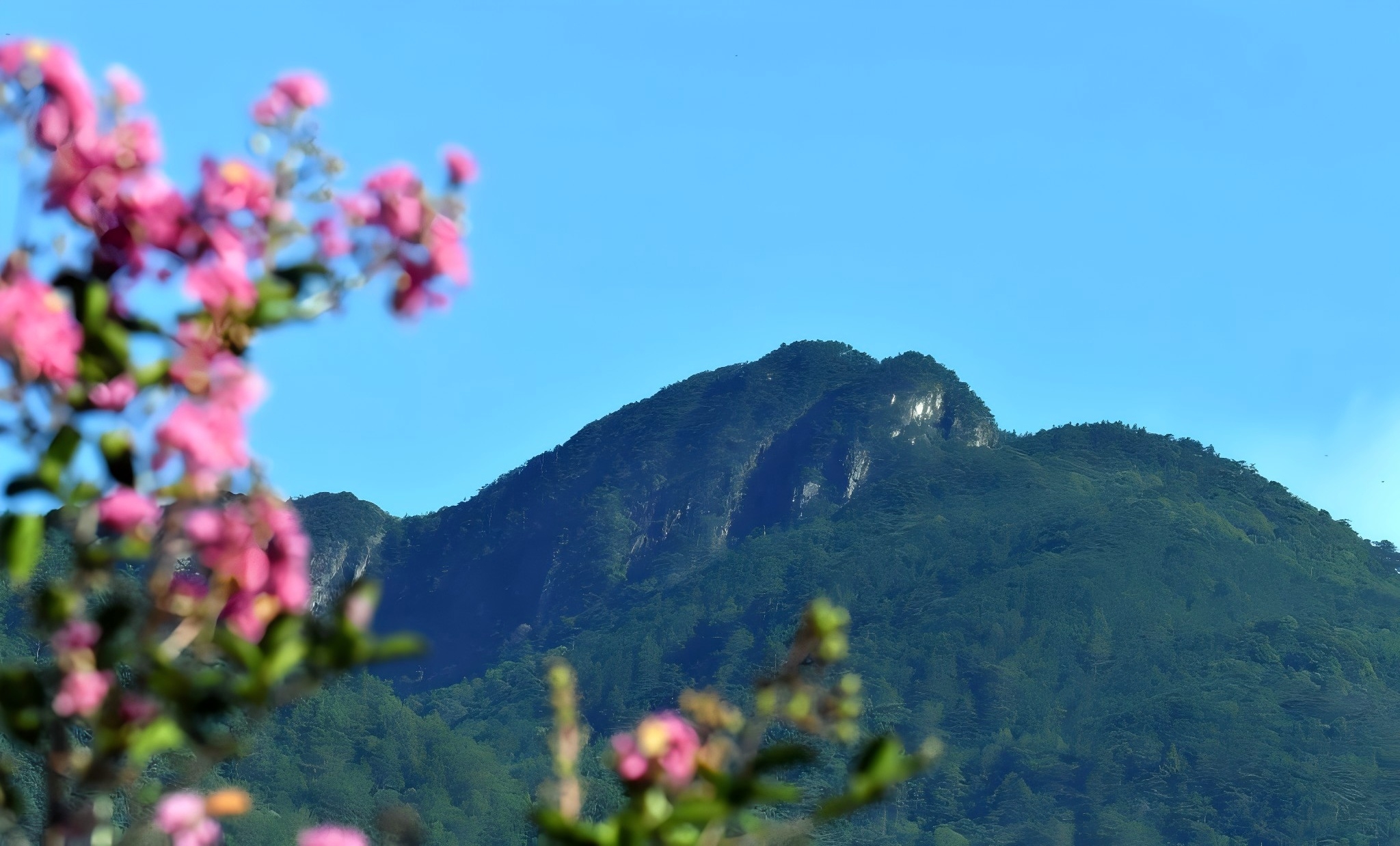 福建天宝岩发现真菌新物种
