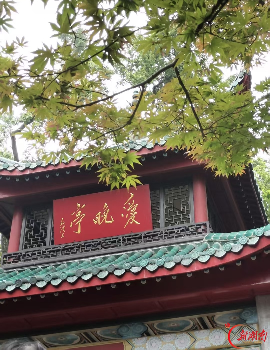 秋色征集令|赴一场长沙的秋日之约