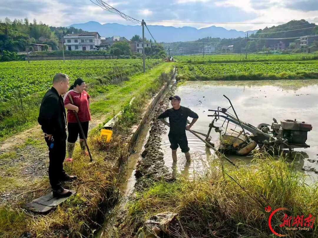 安仁县洋际乡:在田埂上聚起管护合力