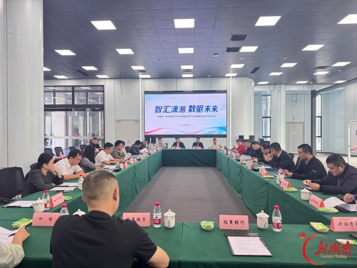推进长衡跨域产业对接 信创地市行走进衡阳