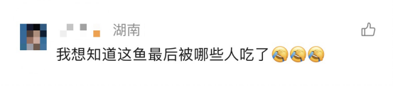 渔政没收的鱼,都去哪儿了?