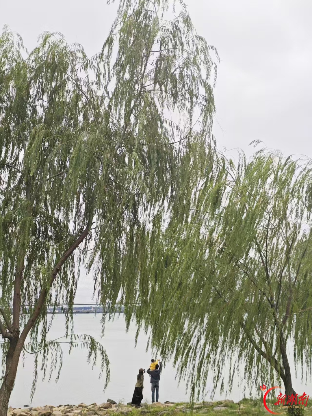 秋色征集令丨赴一场秋日的色彩之约