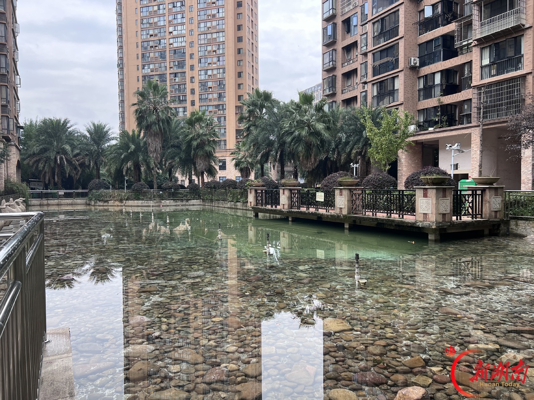 从“糊涂账”到“明白单” 湘江新区麓谷明珠小区打造物业治理新样板