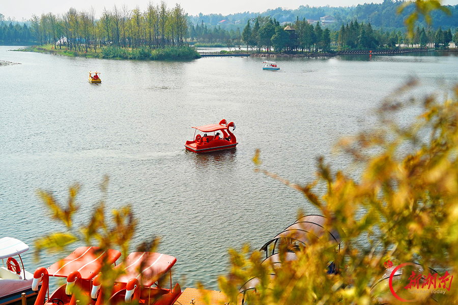 湿地绘秋景 假日游人欢