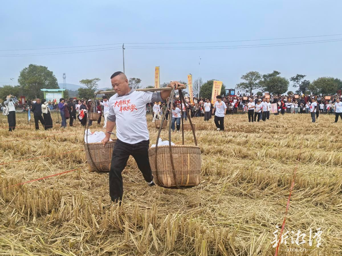 湘乡市龙洞镇:大将故里庆丰收 油茶飘香促振兴