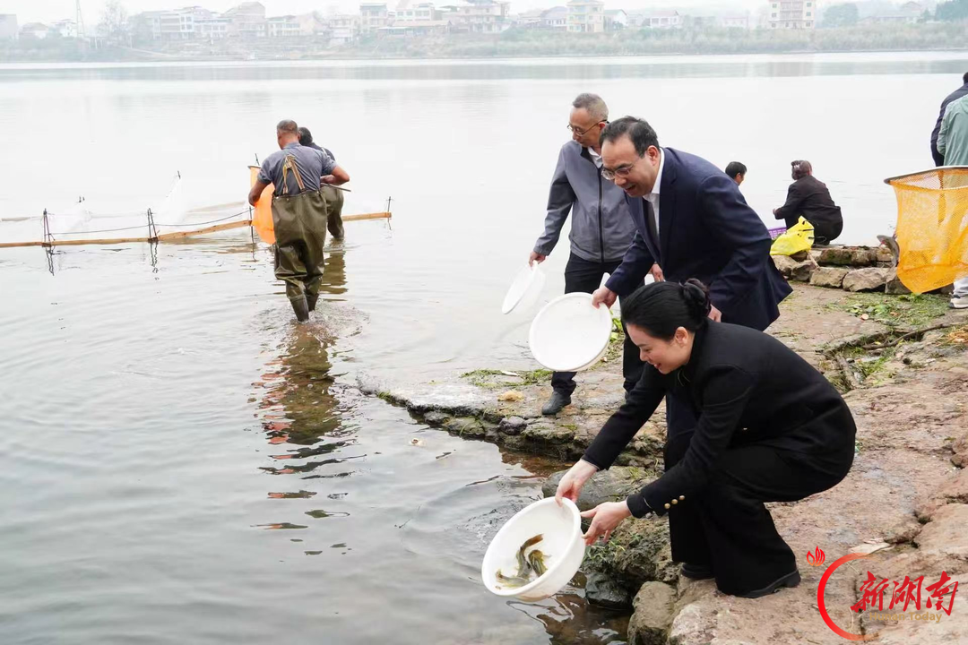 祁东：90万尾鱼苗回归湘江