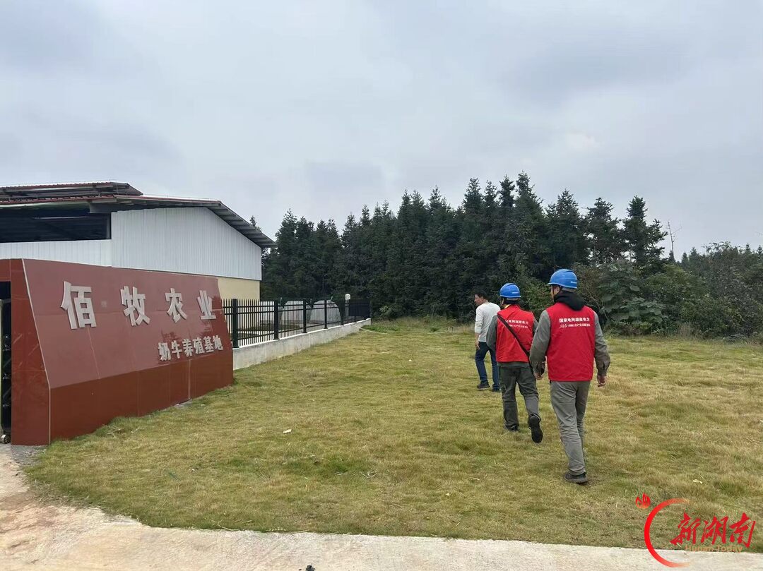 国网郴州供电公司:电力护航“北牧南移”产业加速发展