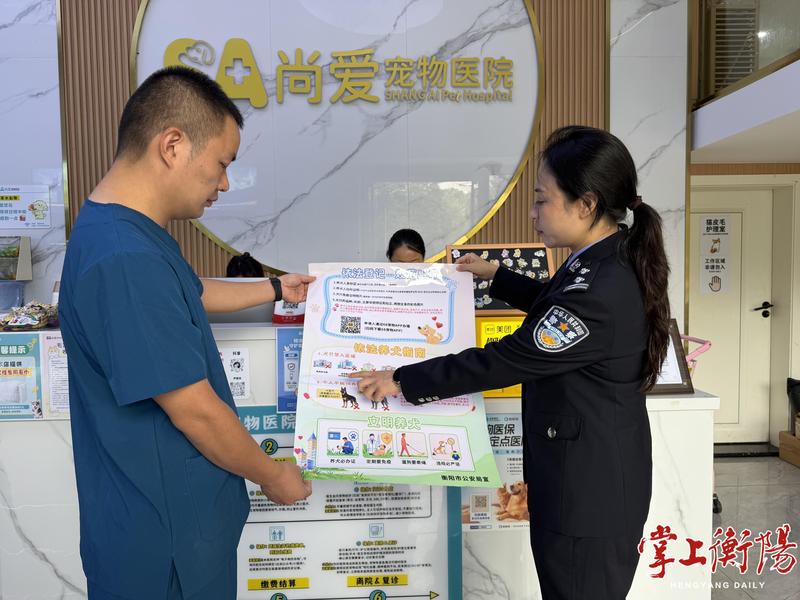 11月1日起严管！衡阳12000余只狗狗已领“身份证”，办证攻略看这里