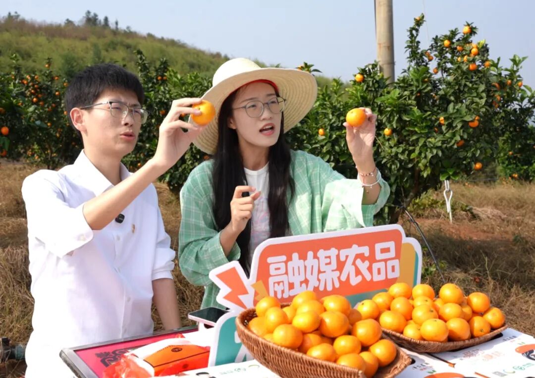 安仁:融媒助农进果园 龙海金秋砂糖桔线上俏销