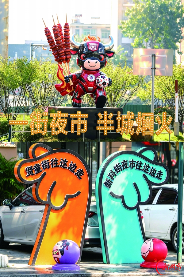 娄底基层实干·娄星篇③｜青春娄星 闪耀湘中