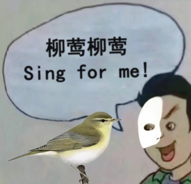侃财邦｜候鸟“春运”来了，观鸟经济悄然起飞