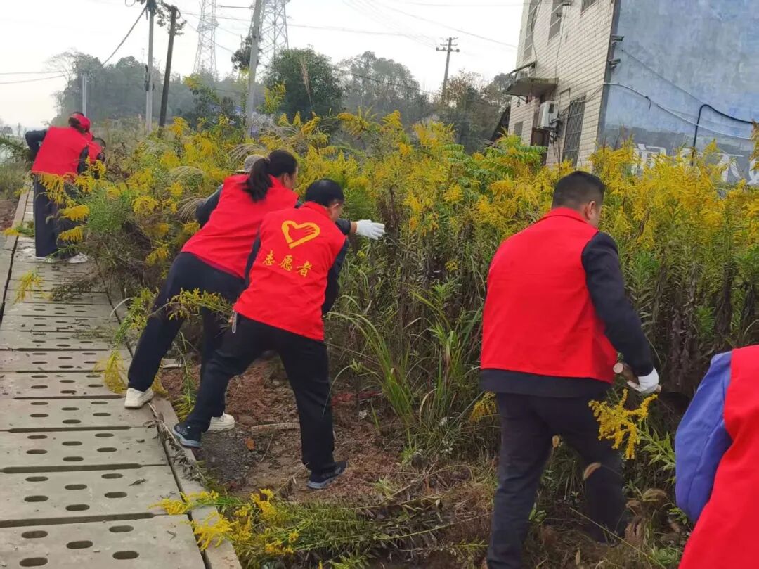 亮剑!岳阳县多乡镇集中清剿“生态杀手”