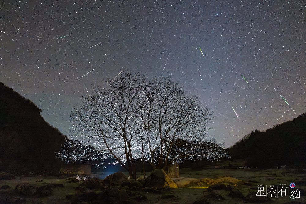 11月“天象剧场”上新，将迎来多场流星雨