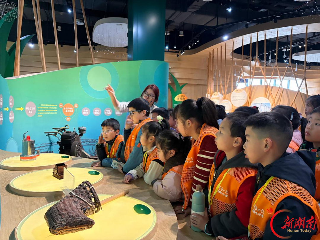 探万千世界,塑少年心智——长郡云龙实验学校湖南日报全媒小记者的这一年