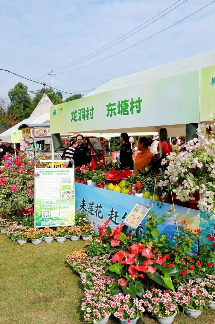 好热闹!周末来长沙莲花山解锁新玩法