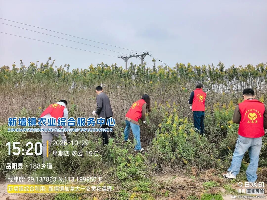 亮剑!岳阳县多乡镇集中清剿“生态杀手”