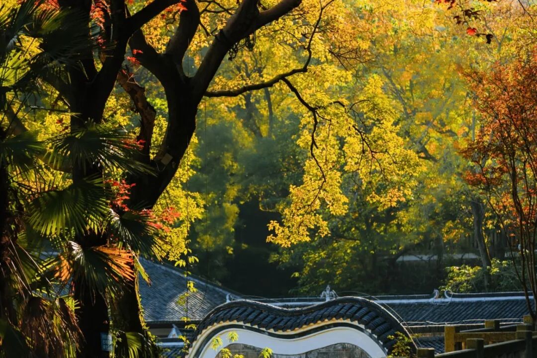 连休五天!醴陵学生秋假时间定了