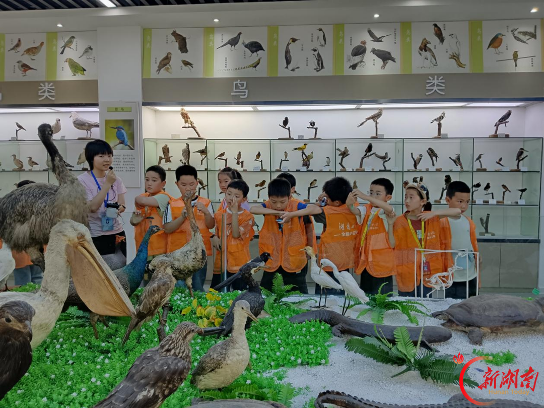探万千世界，塑少年心智——长郡云龙实验学校湖南日报全媒小记者的这一年