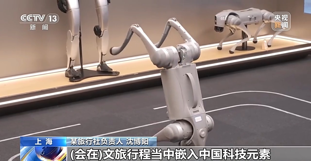 外国人入境游再升温!海外游客解锁来华新玩法
