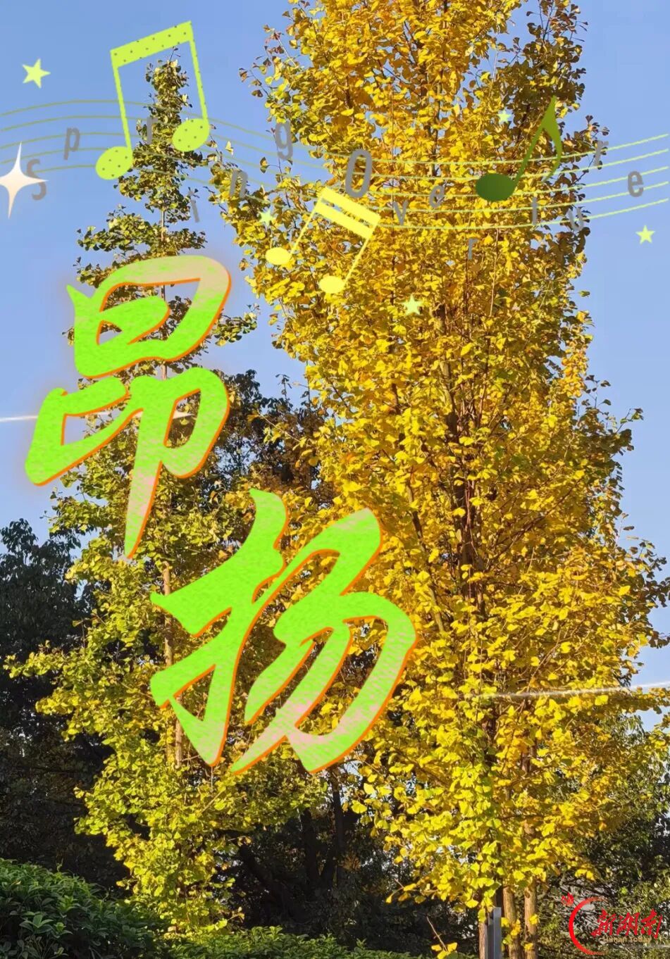秋色征集令丨一树秋韵,一起成长