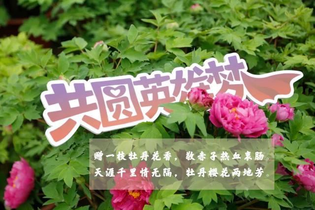 赠一枝牡丹花香，敬赤子热血衷肠！武汉医院这一幕，超治愈！