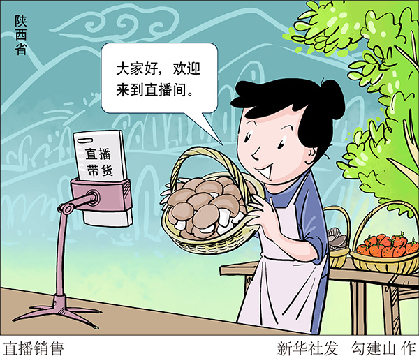 播带货 引流销售——“网红农业”让秦巴山货闯天下