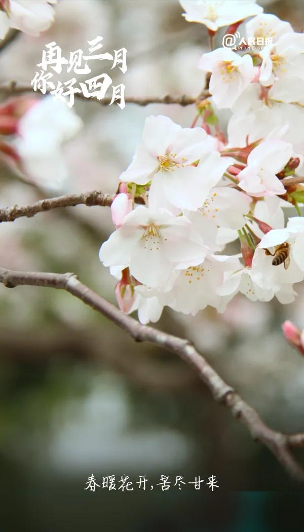 听，这是武汉重启的声音!