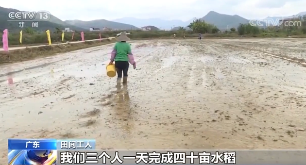 广东：3200万亩春耕农田春播计划已完成6成