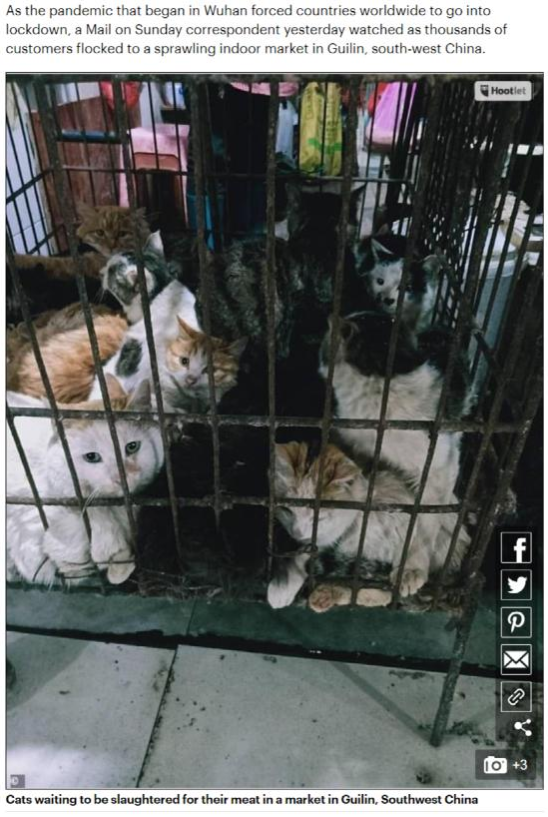 全球直击丨新冠肺炎疫情下 看英国媒体如何造假抹黑中国