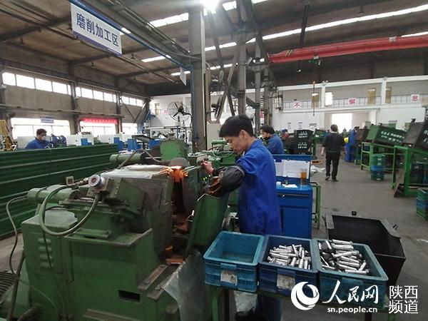 陕西：做好复工复产 让“三个经济”迸发新活力