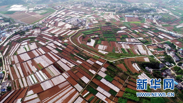 湖北十堰：航拍复耕春景美如画